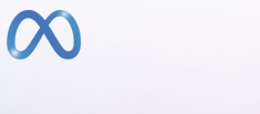 Logo Meta Business Partner